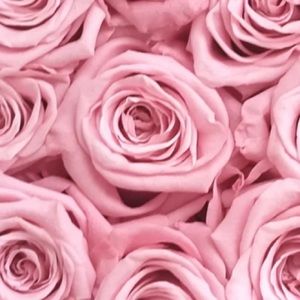 Meet your Posher, Shatorria